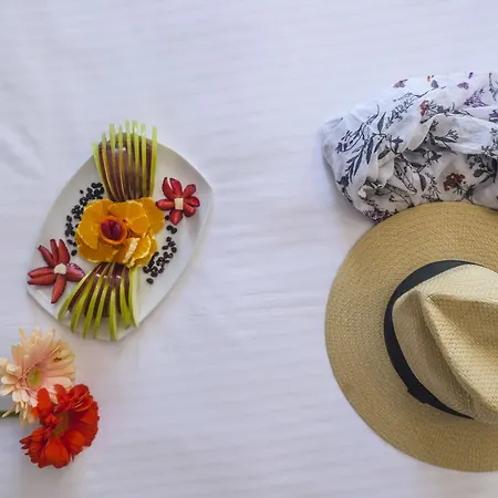 Hotel Lotus Athene