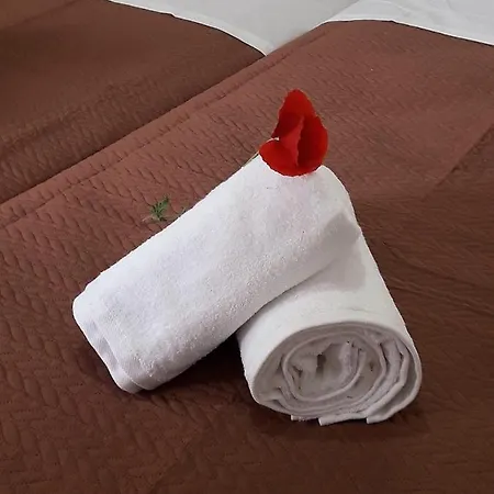 Cozy * Αθήνα