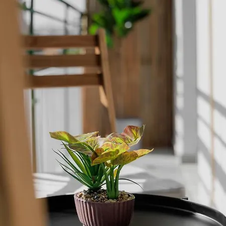 Sunny & Modern For 3 Persons * Αθήνα