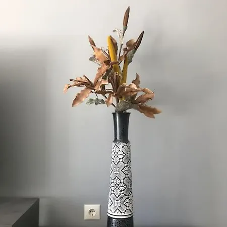 Διαμέρισμα Vasos Αθήνα