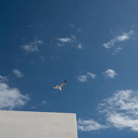 Apartment Private Rooftop - Acropolis View - Jacuzzi - Metro *