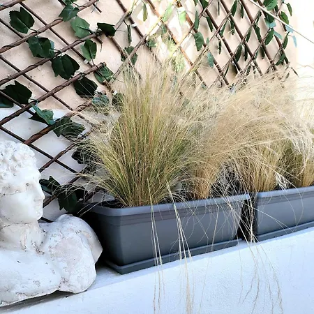 Lycabettus Sunshine Loft Apartment