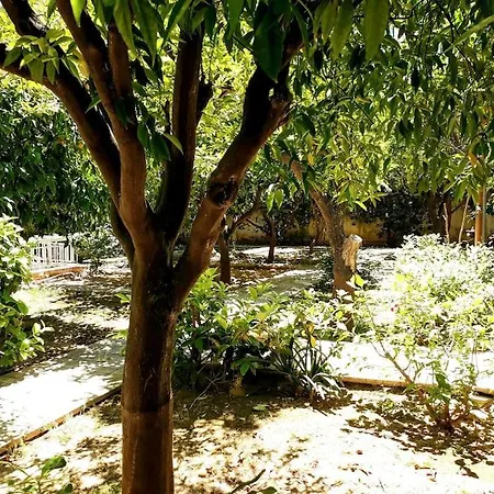 Cozy Garden House In The Center Of Glyfada *