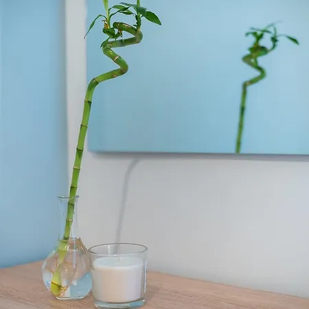 Thalia Modern Apartment *