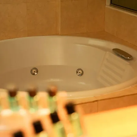 Hotel Orion