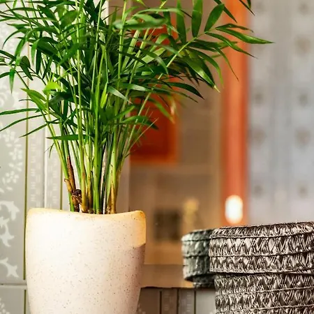 Athina Design - Boutique *