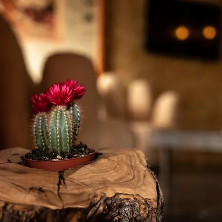 Bed & Breakfast Athina Design - Boutique