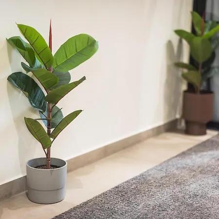 Apartamento Filia Place