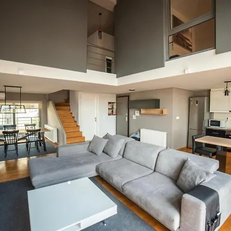 Minimal Brand New Loft Next To Subway Apartment
