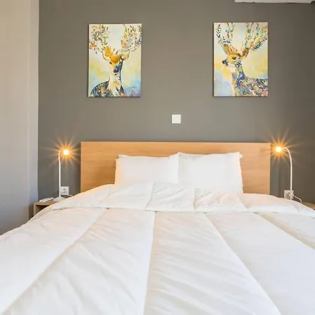 A Modern And Spacious Flat In Gazi Athens