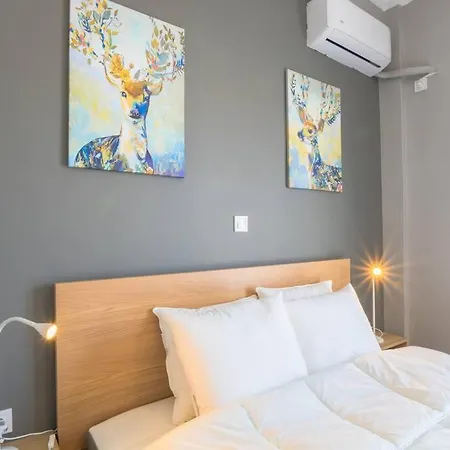 A Modern And Spacious Flat In Gazi