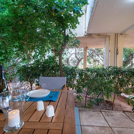 The Olive Tree By Mps *