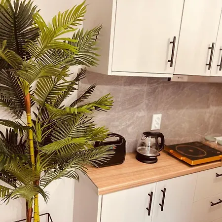 Cactus Luxury Suite1 * Αθήνα