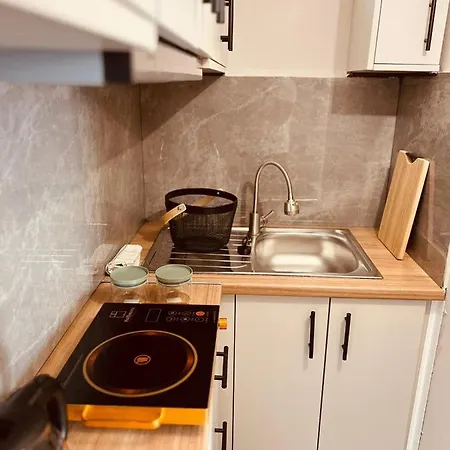Cactus Luxury Suite1 Διαμέρισμα Αθήνα