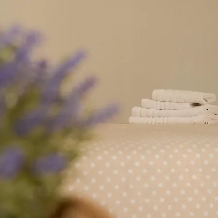 Virginia's Boutique Apartment *