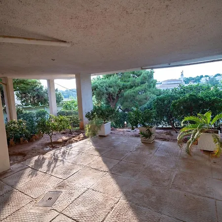 The Olive Tree By Mps Apartment *