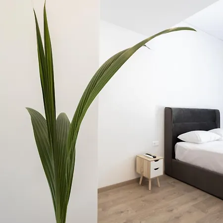 Spacious 3-bedroom Dual In Centre Apartment *