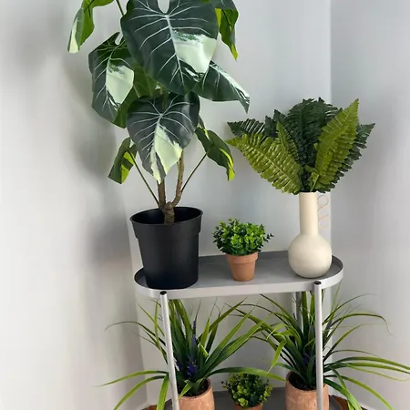 Apartment Four Seasons *