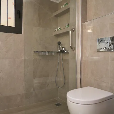 Acropolis Penthouse Project Apartment *