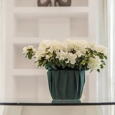 Acropolis Museum - Modern Living I * Athene