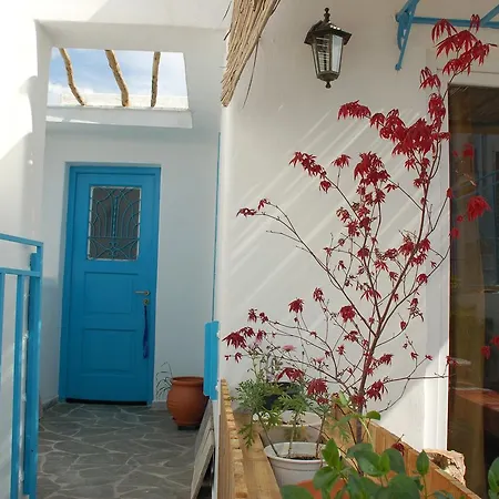 The House *