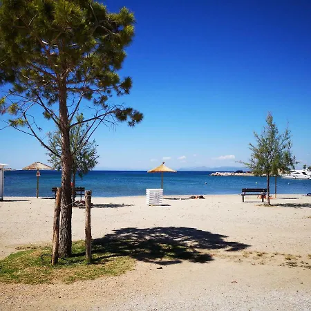 Sea&sun Glyfada Apartment *