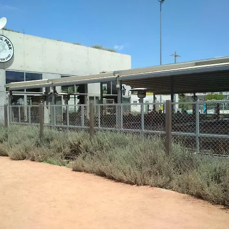 George's *