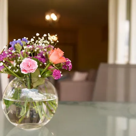 Mother's House *