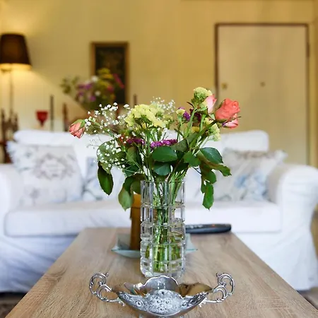 Mother's House *