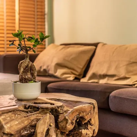 Ecoflat In Syntagma Square! * Athene
