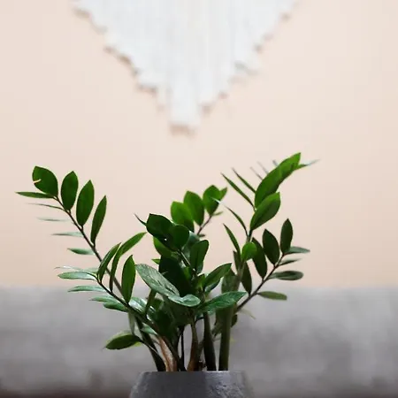 Apartamento Ipelhome - Heart