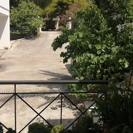 Sunny Garden *