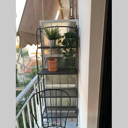 Apartment What Need!