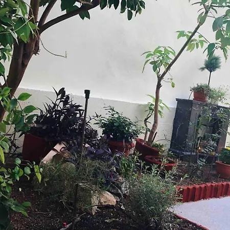 Modern Hospitality, With Private Garden, Διαμέρισμα Αθήνα
