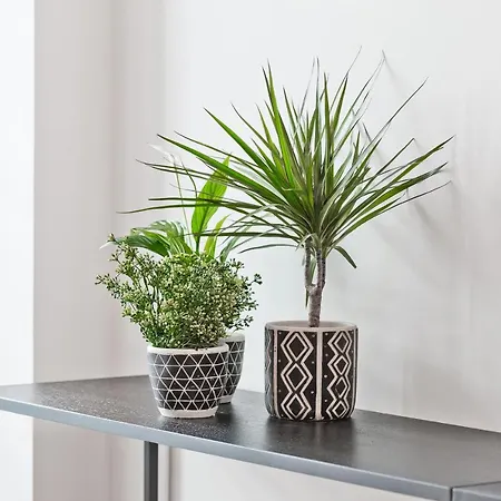 Bag- Boutique Grey - Hilton Area Apartment Athens