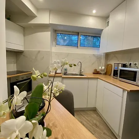 Seaside Comfy Apartment/ Palaio Faliro Apartment