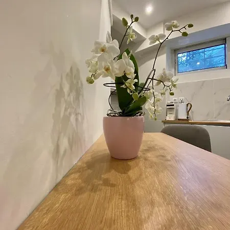 Apartment Seaside Comfy Apartment/ Palaio Faliro Athens