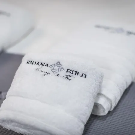 Iguana Gold Luxury 1min From Ermou Str * אתונה