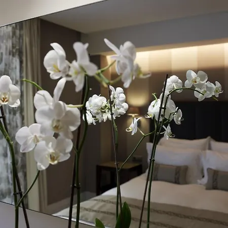 The Y Hotel
