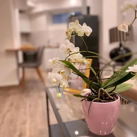 Seaside Comfy Apartment/ Palaio Faliro Athens