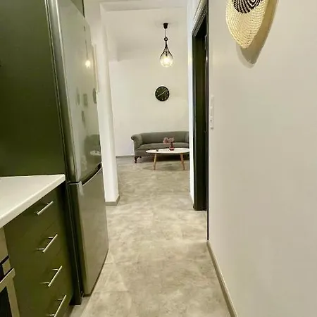 Gorgeous Renovated Apt. Close To Metro And Cultural Sites! * Athens