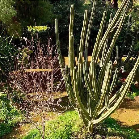 Apartment Riviera Garden Views #unoblu *