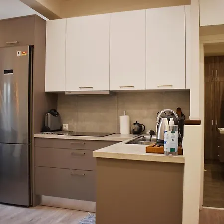 Skip Away From The Acropolis Museum By Athenian Homes Apartment Athens