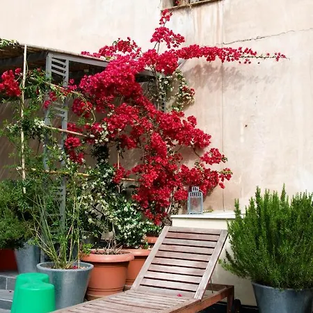 Bauhaus Building With Green Roof Top Terrace - Ep16