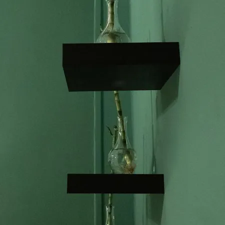 Apartment Nikis Artistic Flat/ Syntagma Square *