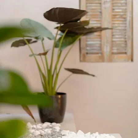 מלון דירות Ether Loft