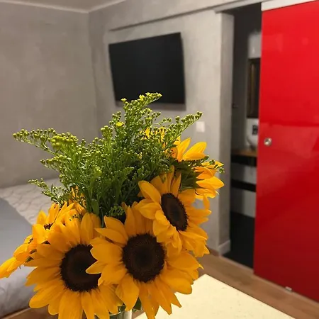 Cozy Tiny In The Heart Of Plaka Athens