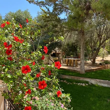 Reina On The Hill Of Vouliagmeni Villa