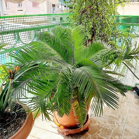 Appartement Large Terrace Near Centre Athènes
