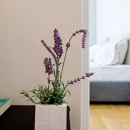 Apartment Beautiful Studio In The Heart Of The Athens